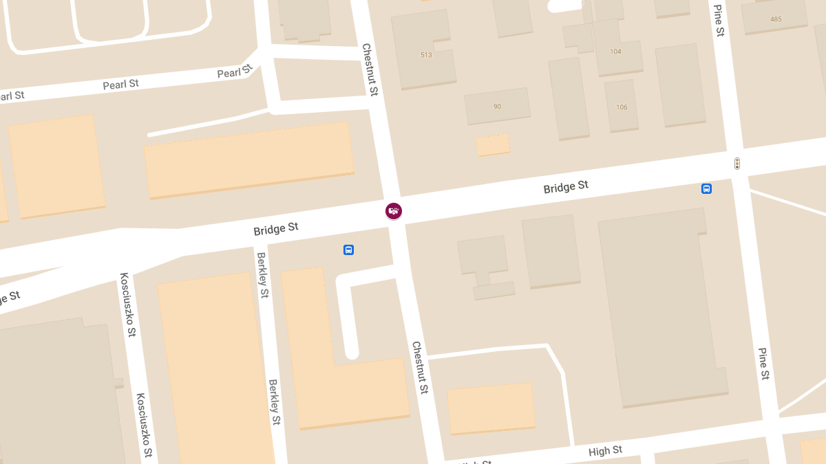 Accident with Injury at Bridge St and Chestnut St