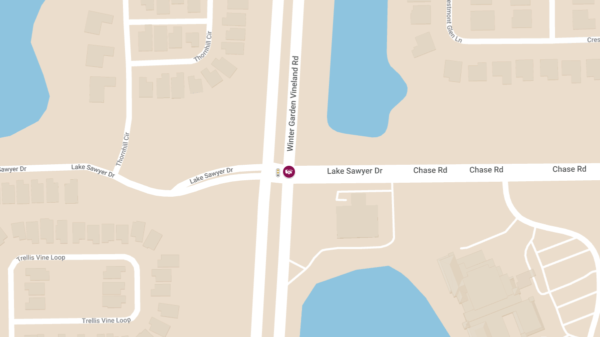 Car Crash at Winter Garden Vineland Rd & Chase Rd