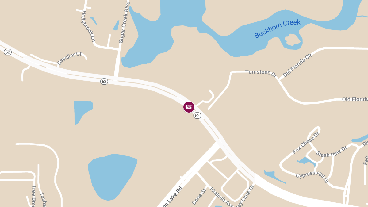 Car Crash with Injuries on SR-52 near Moon Lake Rd