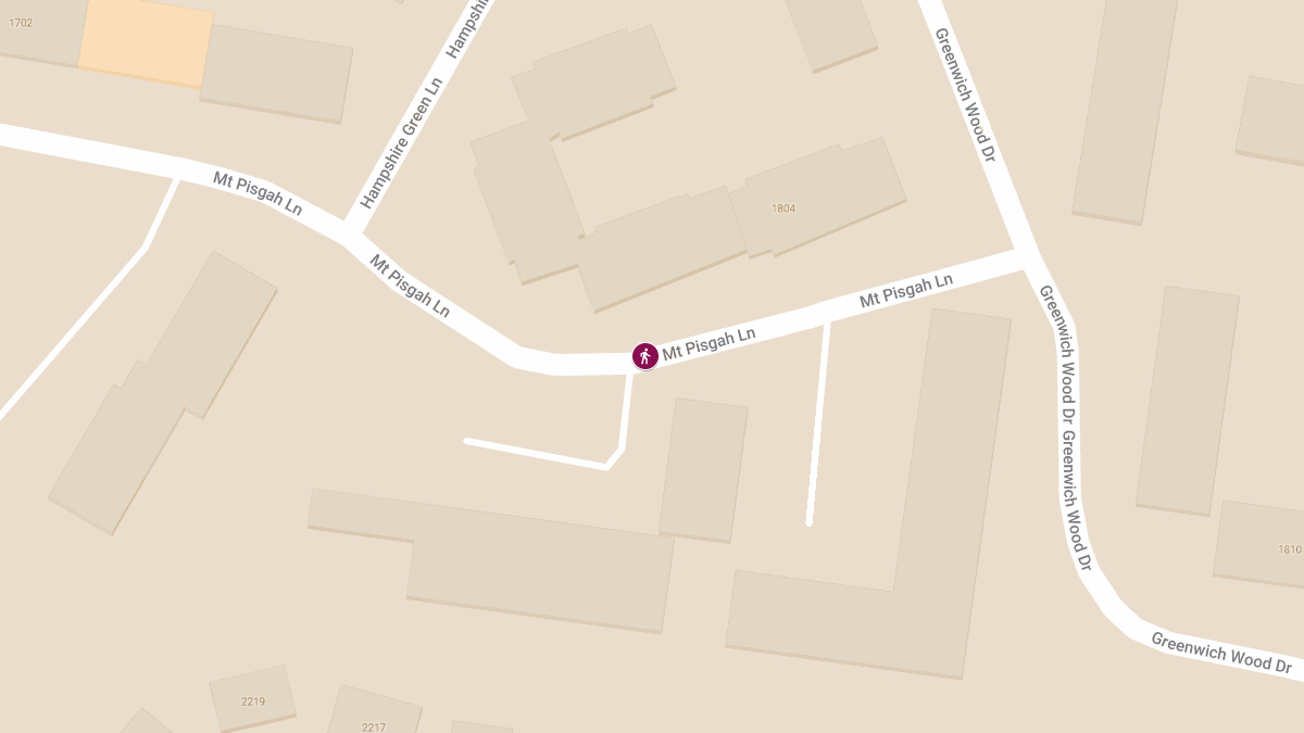 Child and Two Teenagers Injured in Hit-and-Run on Mt. Pisgah Ln