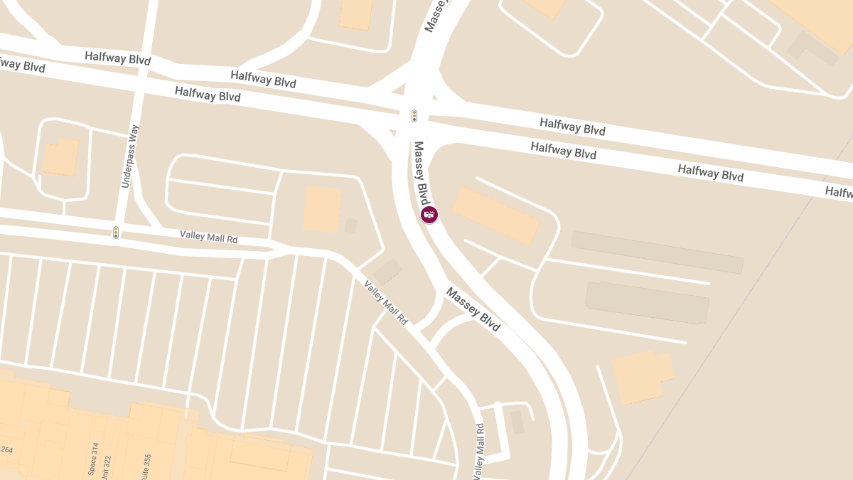 Collision With Injury on Massey Blvd Near Dollar Tree