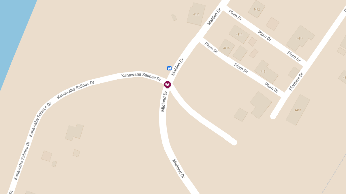 Crash Causes Injury at Malden Dr and Kanawha Salines Dr