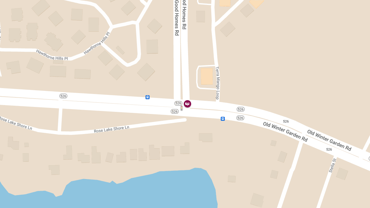 Crash at Old Winter Garden Rd & Good Homes Rd Causes Injuries