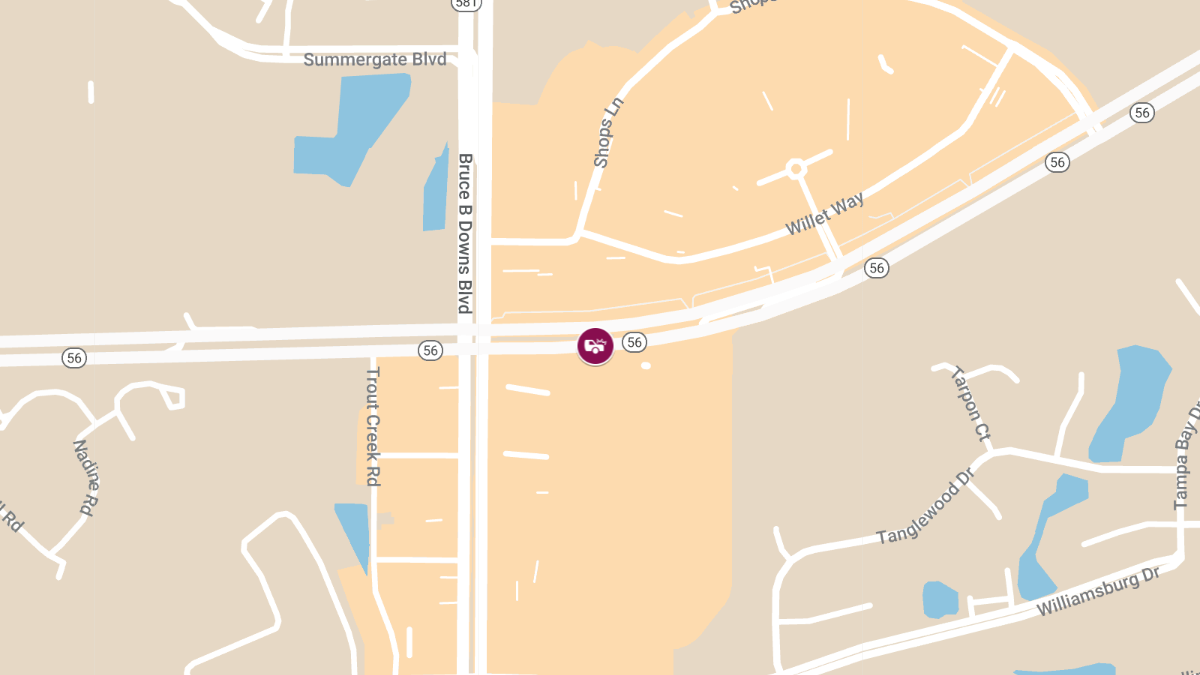 Crash on SR-56 Near Bruce B Downs Blvd