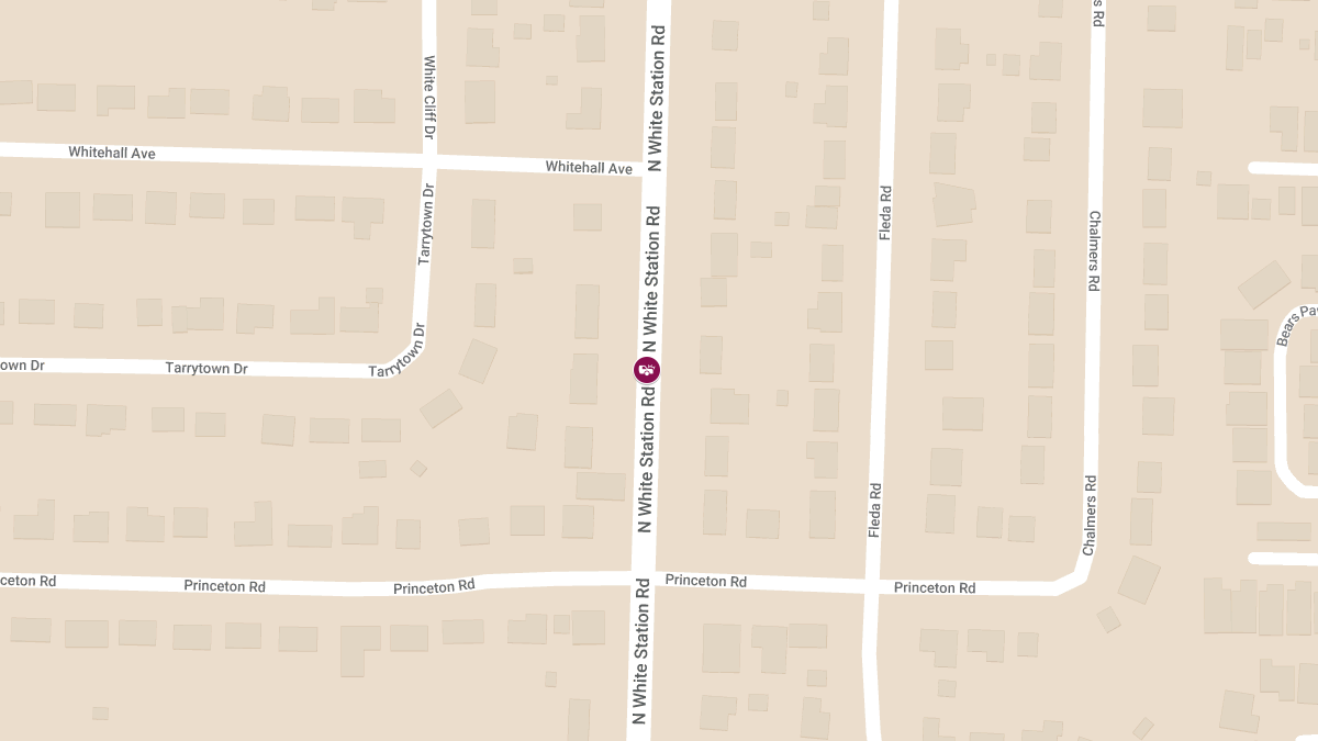 Fatal Accident on North White Station Rd near Princeton Rd