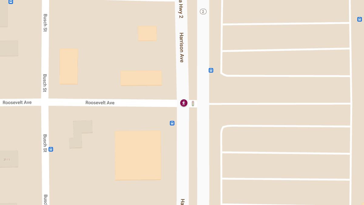 Fatal Pedestrian Accident at Harrison Ave and Roosevelt St