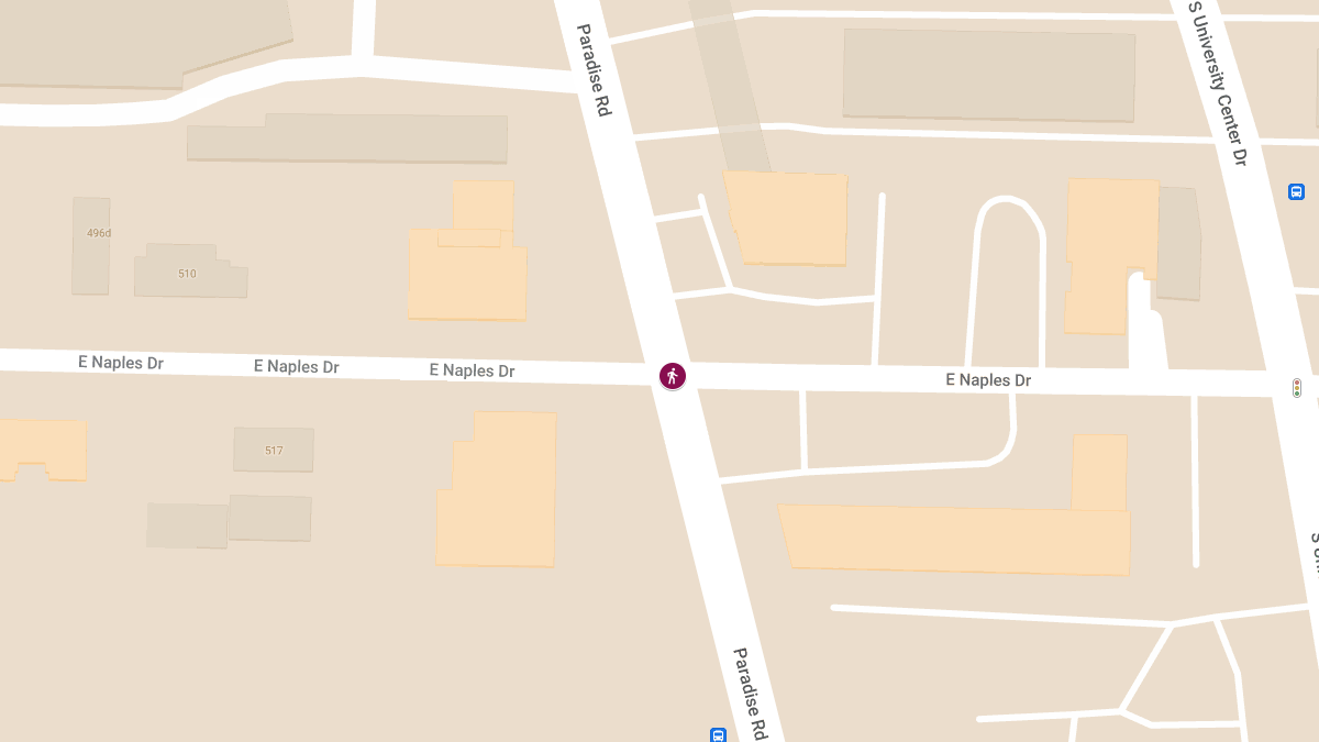 Fatal Pedestrian Accident at Paradise Rd & Naples Dr