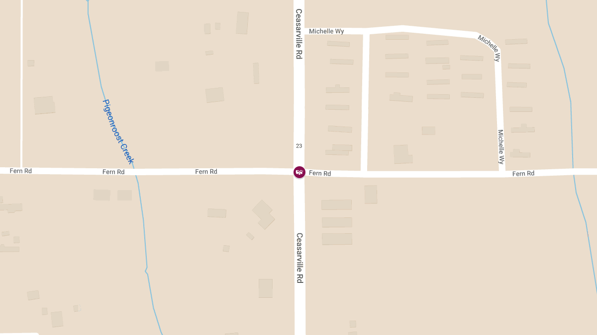 Fatal Two-Vehicle Crash at Fern Rd & Ceasarville Rd