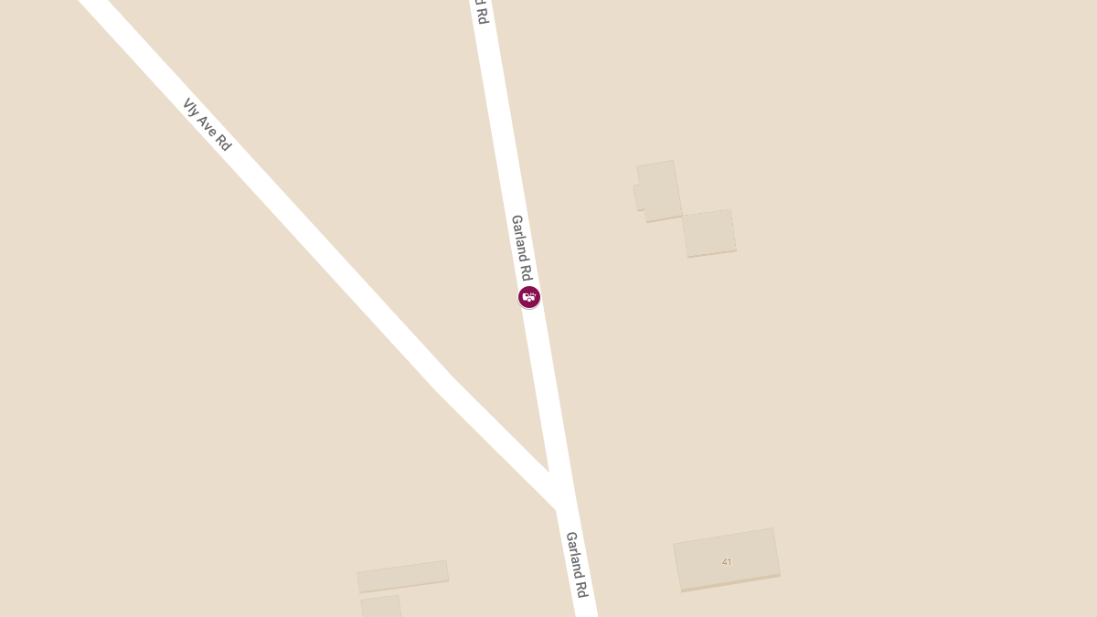 Four Hospitalized After Head-On Crash on Garland Rd