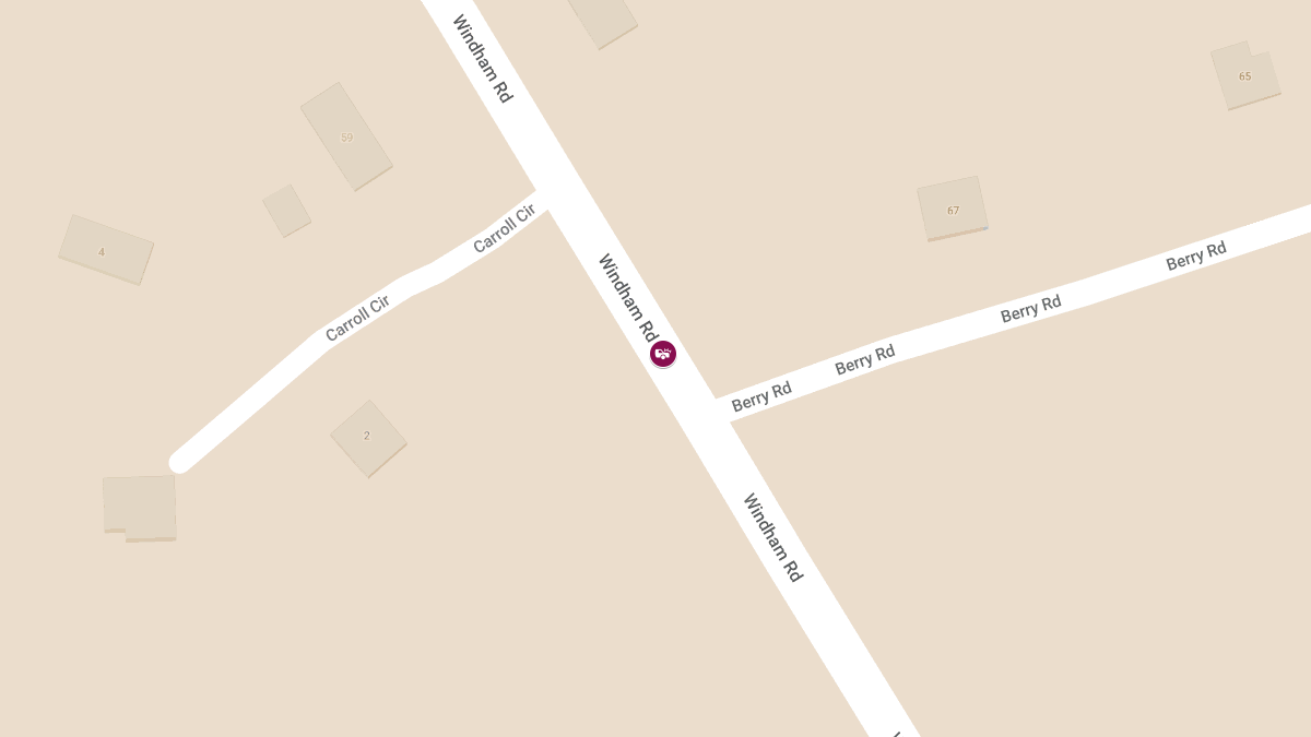 Head-On Collision with Multiple Injuries on Windham Rd