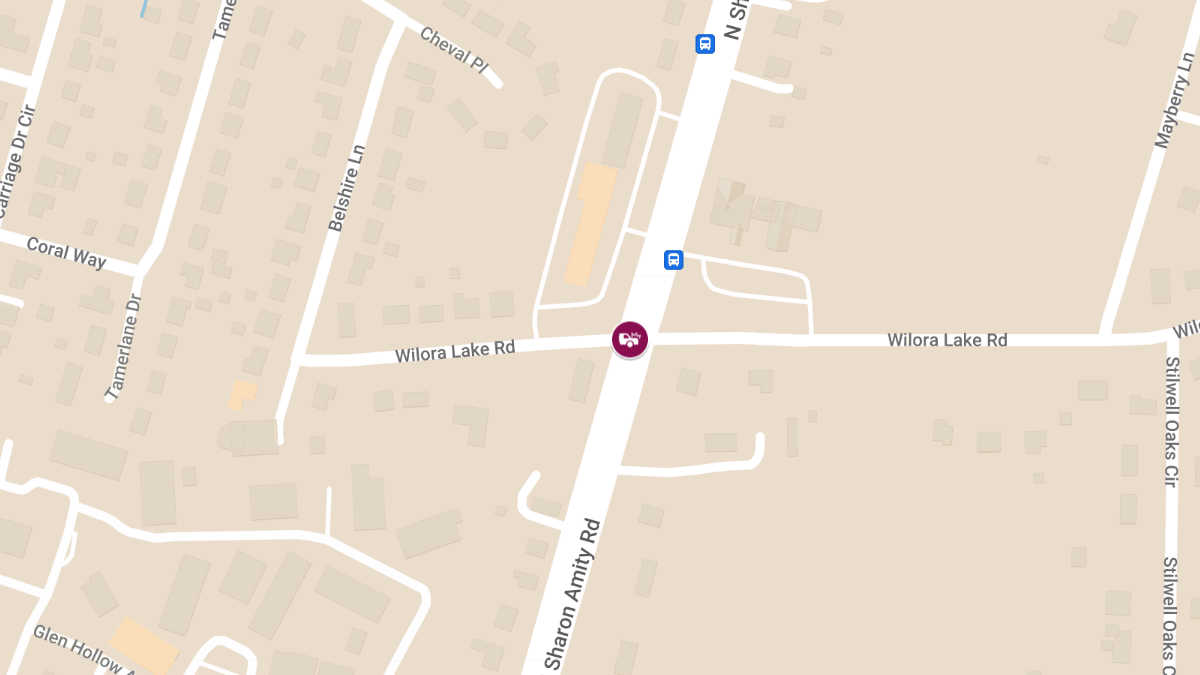 Injuries in Accident at N Sharon Amity Rd & Wilora Lake Rd