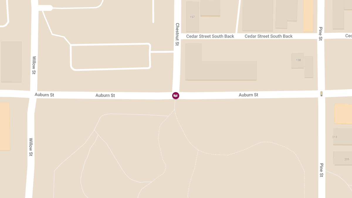 Injury Accident at Auburn St & Chestnut St