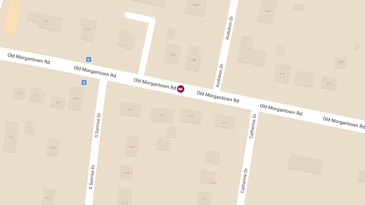 Injury Accident on Old Morgantown Rd in the 600 Block