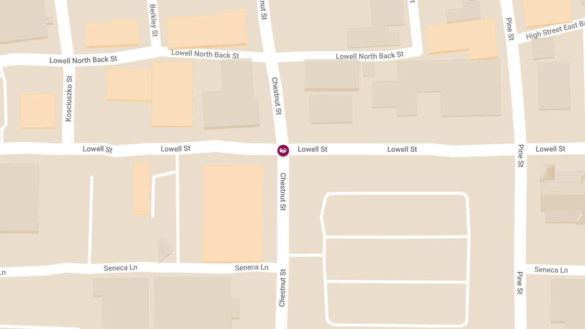 Injury Collision Reported at Chestnut St & Lowell St