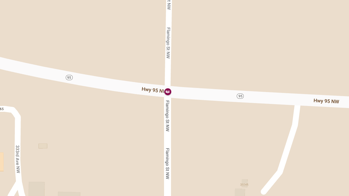 Injury Crash at Hwy 95 & Flamingo St