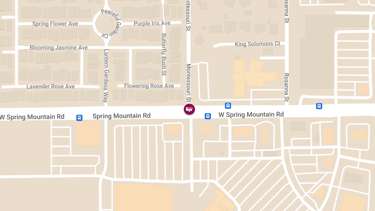 Injury Crash at Spring Mountain Rd & Montessouri St