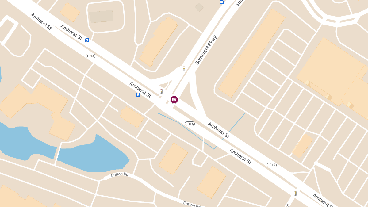 Motor Vehicle Accident with Entrapment at Amherst St & Somerset Pkwy