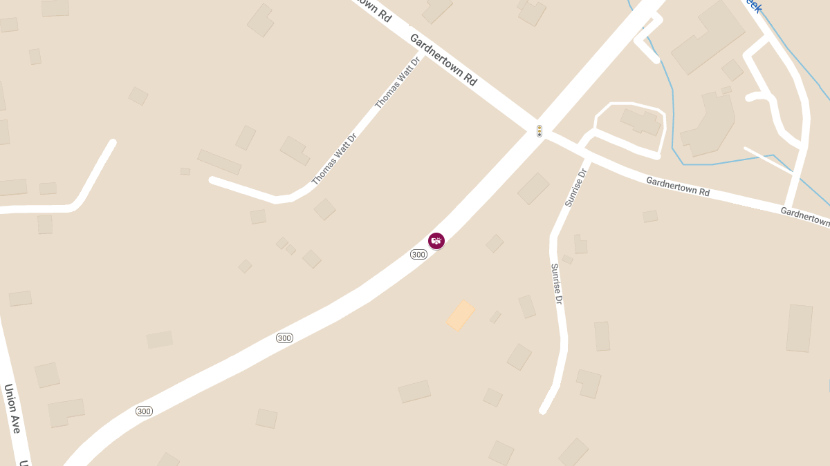 Motor Vehicle Accident with Injuries on Rt 300