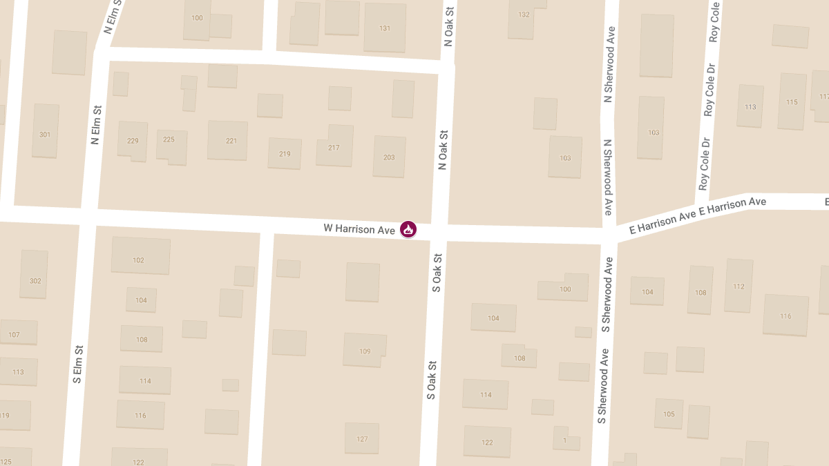 One Dead in House Fire on W Harrison Ave