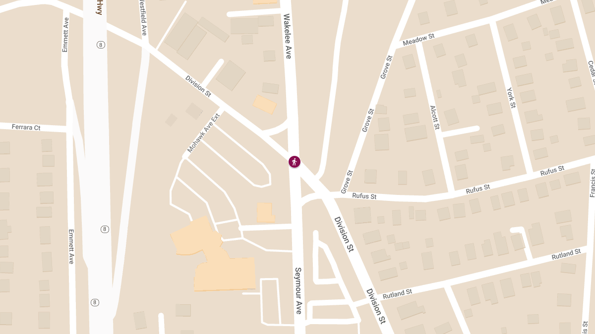 Pedestrian Accident at Seymour Ave & Division St