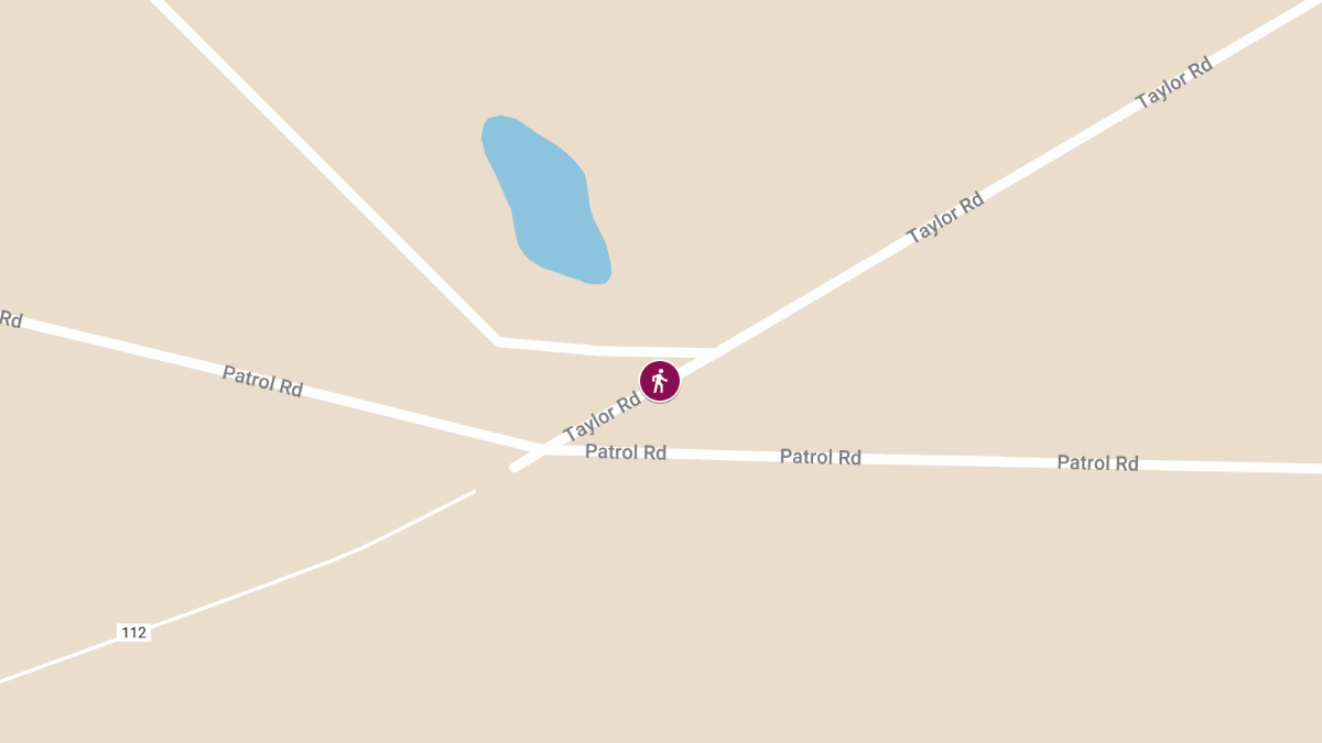 Pedestrian Hit at U.S. Route 27 & Taylor Mill Rd