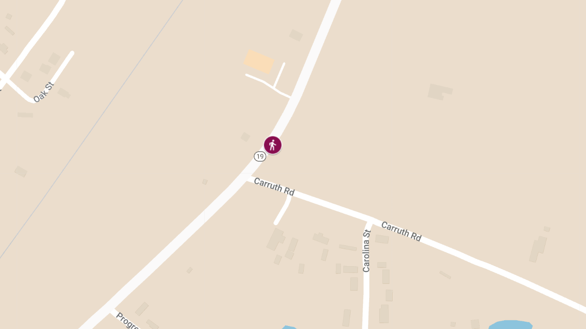 Pedestrian Killed in Crash on LA 19 near Carruth Rd