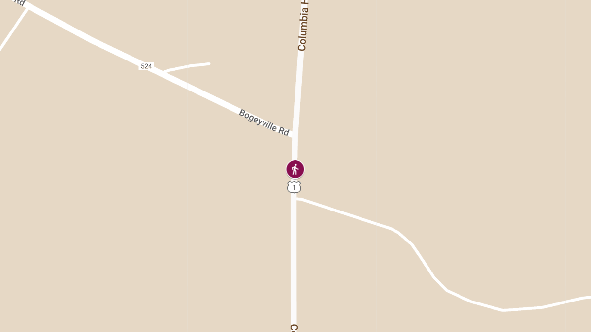 Pedestrian Killed in Crash on U.S. 1 Near Bogeyville Rd