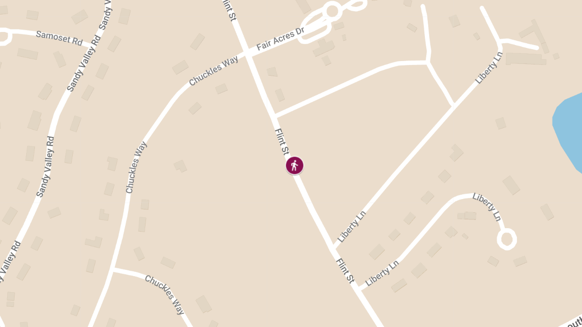 Pedestrian Seriously Injured in Crash on Flint St