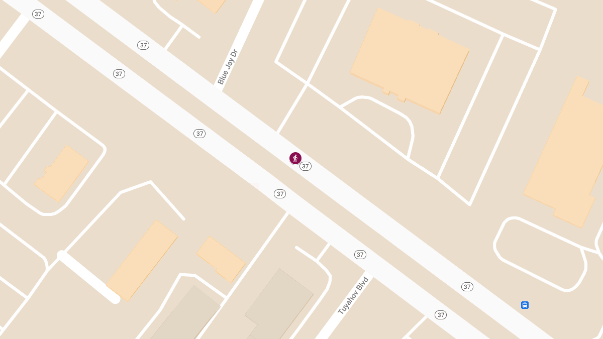 Pedestrian Struck in Aldi Parking Lot on Rte 37 West