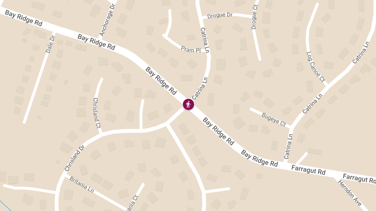 Pedestrian Struck in Vehicle Collision on Catrina Ln and Bay Ridge Rd