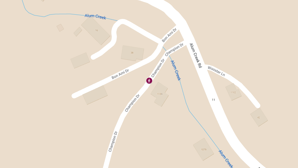 Pedestrian Struck on Champion Dr
