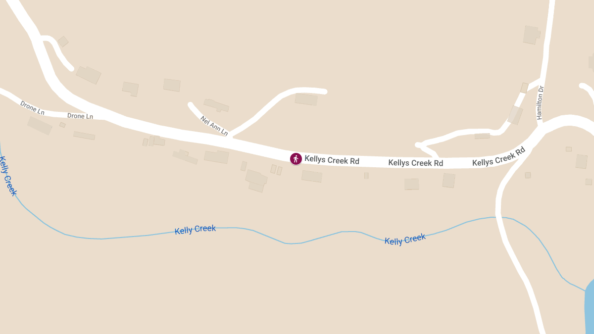 Pedestrian Struck on Kellys Creek Rd