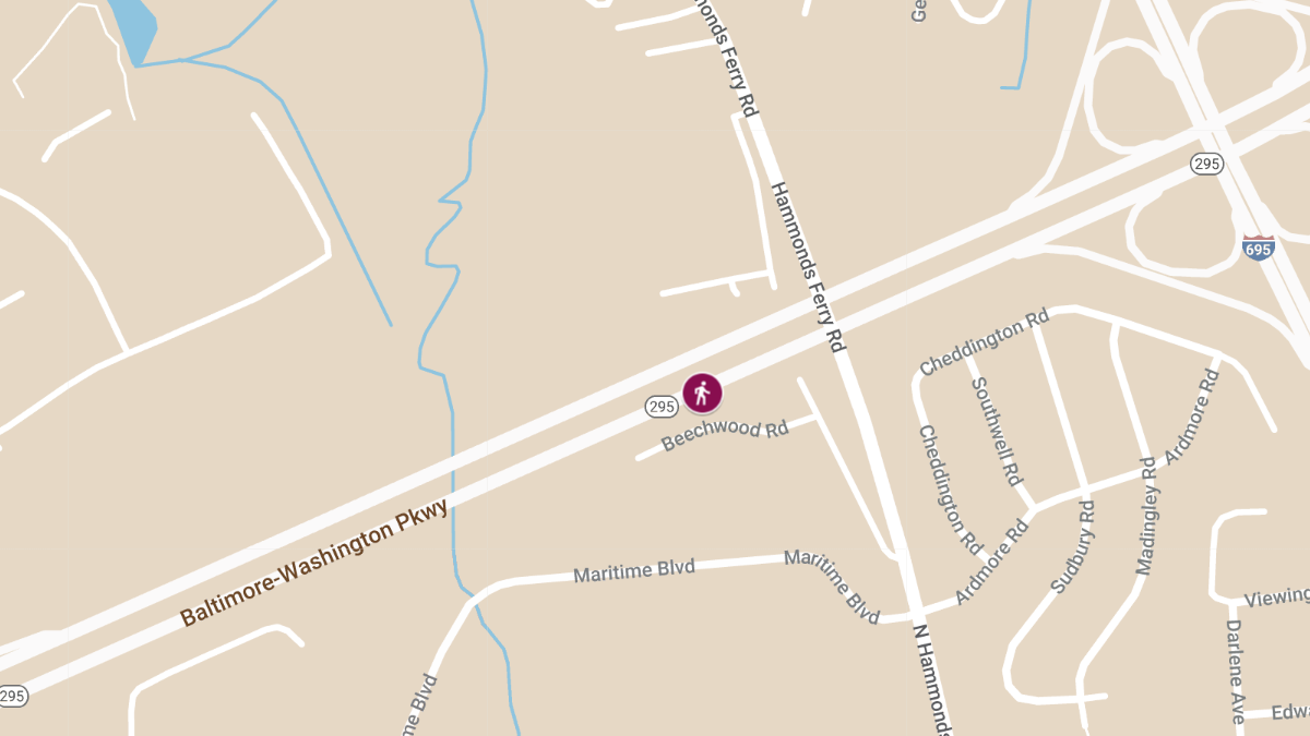 Pedestrian Struck on NB RT 295 Near N Hammonds Ferry Rd