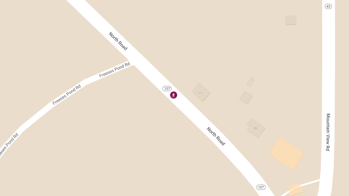 Pedestrian Struck on Rte 107 Near 64 North Rd