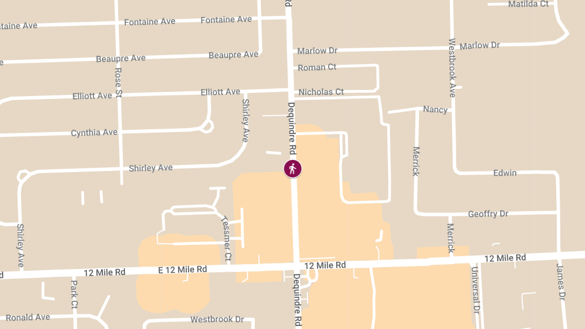 Police Search for Driver in Fatal Pedestrian Hit-and-Run on Dequindre Rd