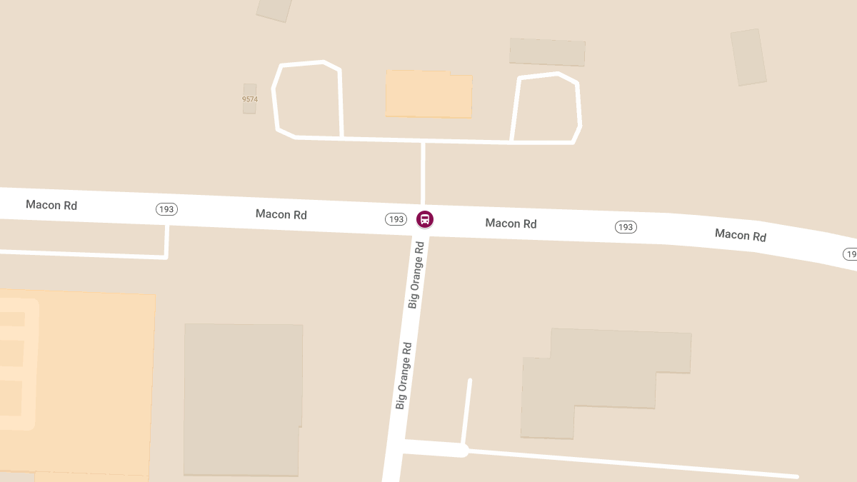 School Bus Accident at Macon Rd & Big Orange Rd Leads to Injuries