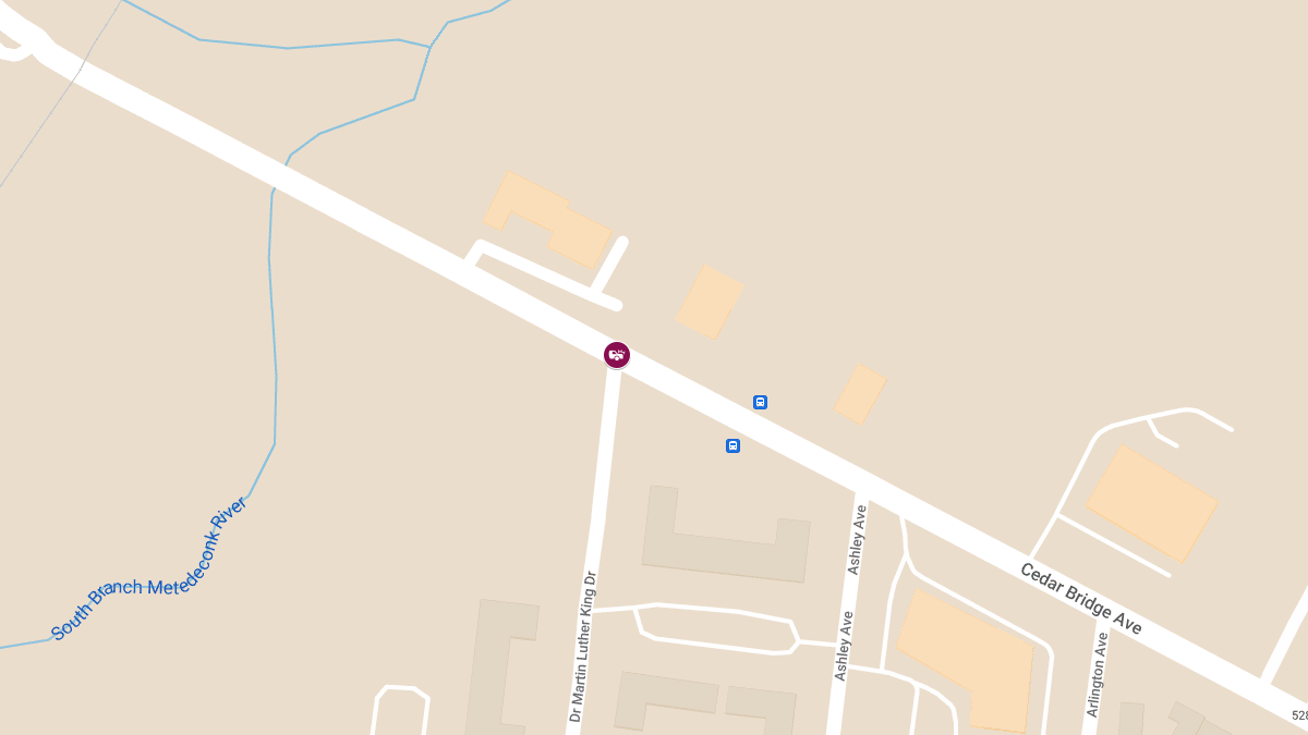Serious Crash Reported at Cedar Bridge Ave & Martin Luther King Dr