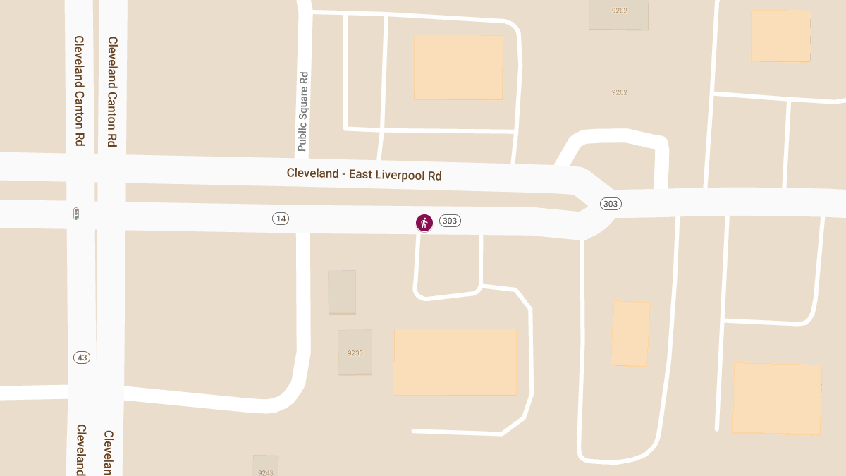 Streetsboro Police K-9 Kaya Fatally Struck by Vehicle on State Route 303