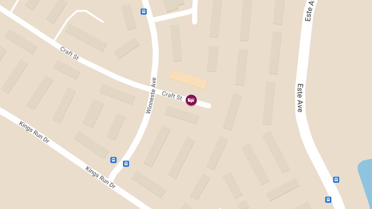 Vehicle Collision with Injurie