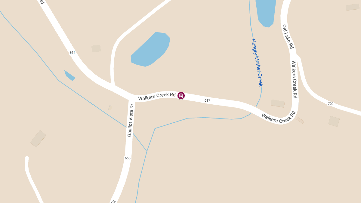 Woman Injured in Head-On Crash with School Bus on Walker’s Creek Rd