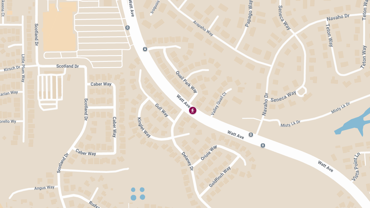 1 Killed in Pedestrian Accident at Watt Ave & Quail Park Way