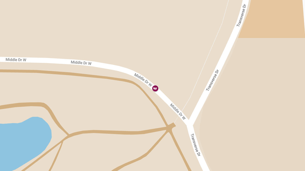 Car Crash With Injuries at Doughboy Meadow in Golden Gate Park