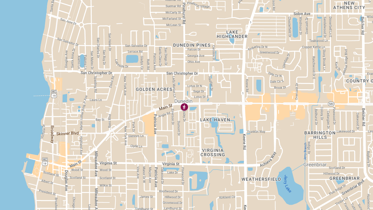 Carol Spezzano Dies After Being Struck by Vehicle in Publix Parking Lot