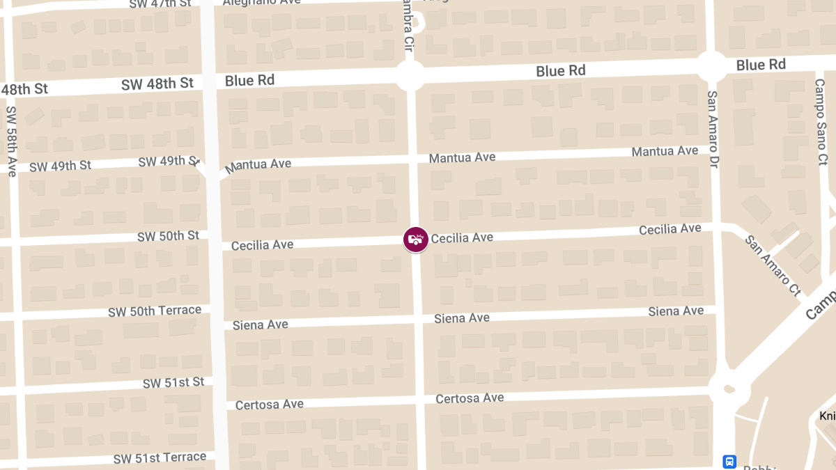 Crash With Injuries at Cecilia Ave & Alhambra Cir