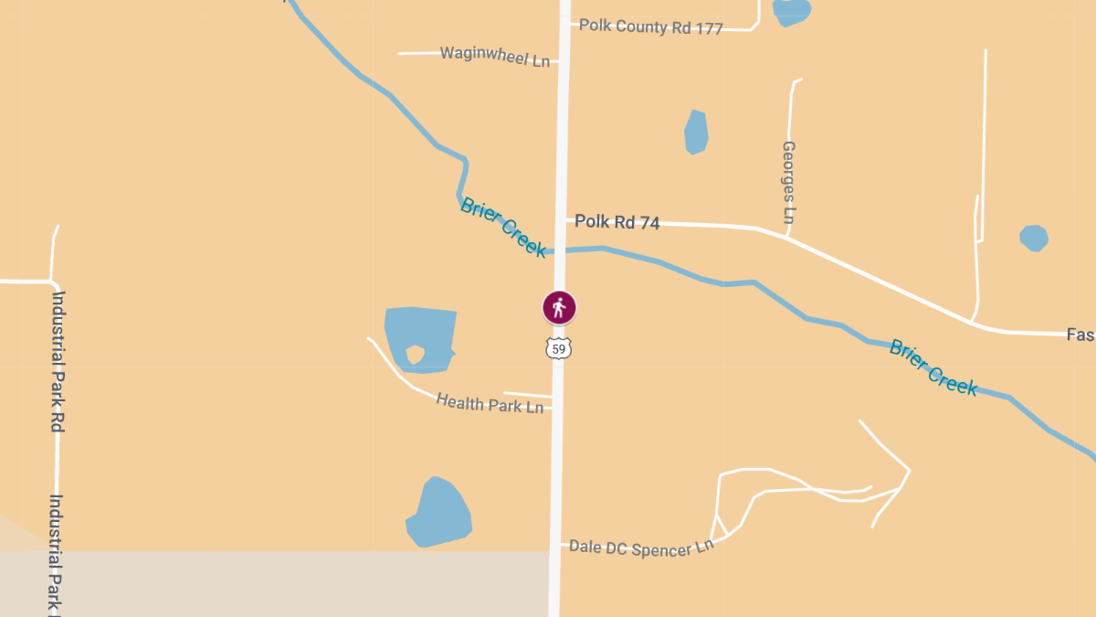 Fatal Hit-and-Run on U.S. Highway 59 Near County Rd 3658