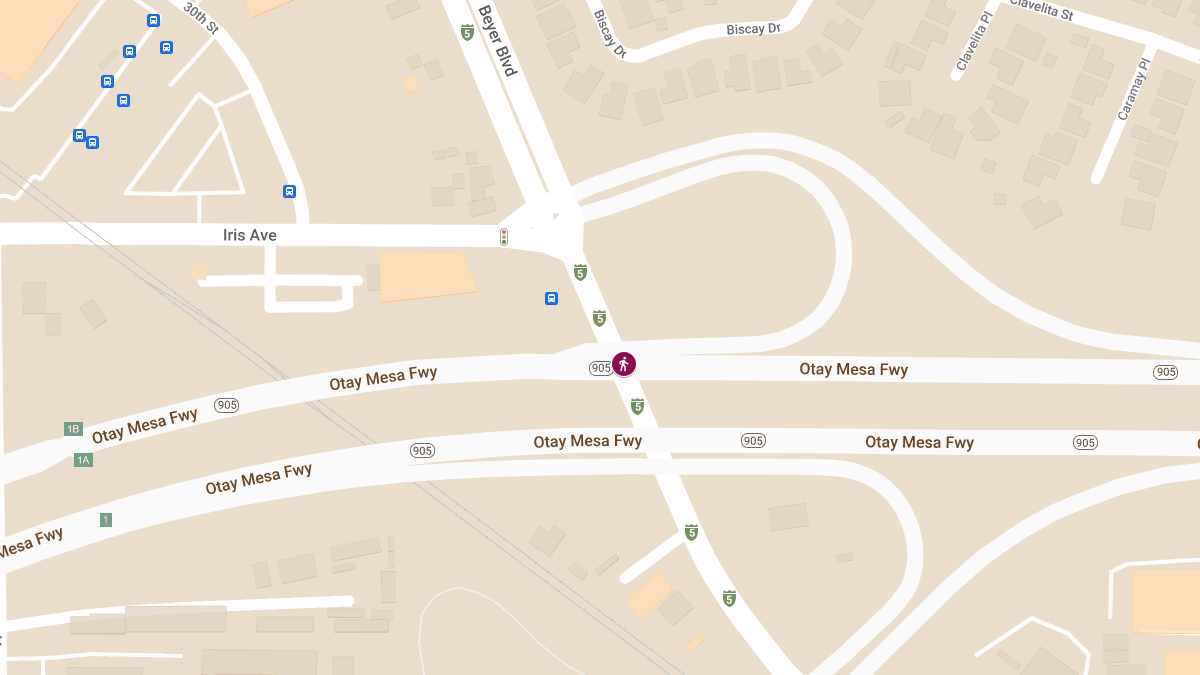 Fatal Pedestrian Accident Under Investigation on CA-905 Freeway at Beyer Blvd