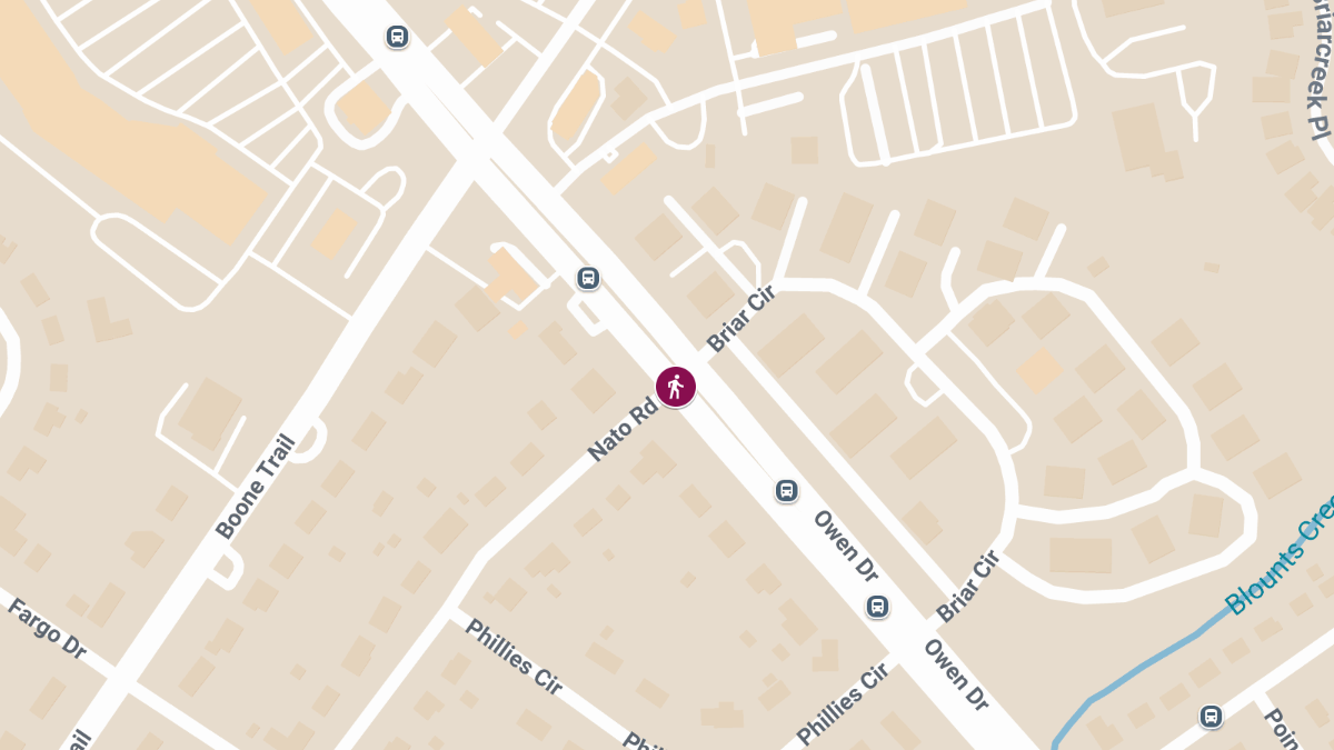 Fatal Pedestrian Accident at Owen Dr & Nato Rd