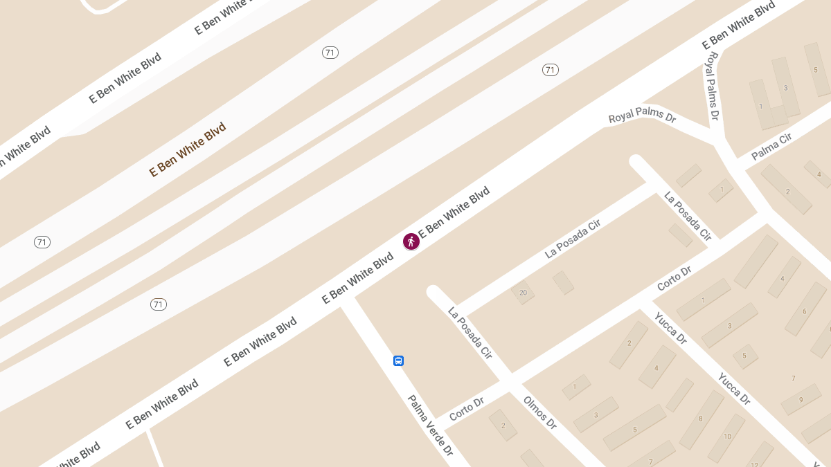 Fatal Pedestrian Crash on E Ben White Blvd Service Rd