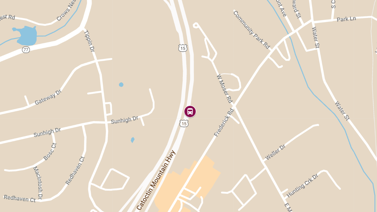 Four Injured in School Bus Collision on Rte 15