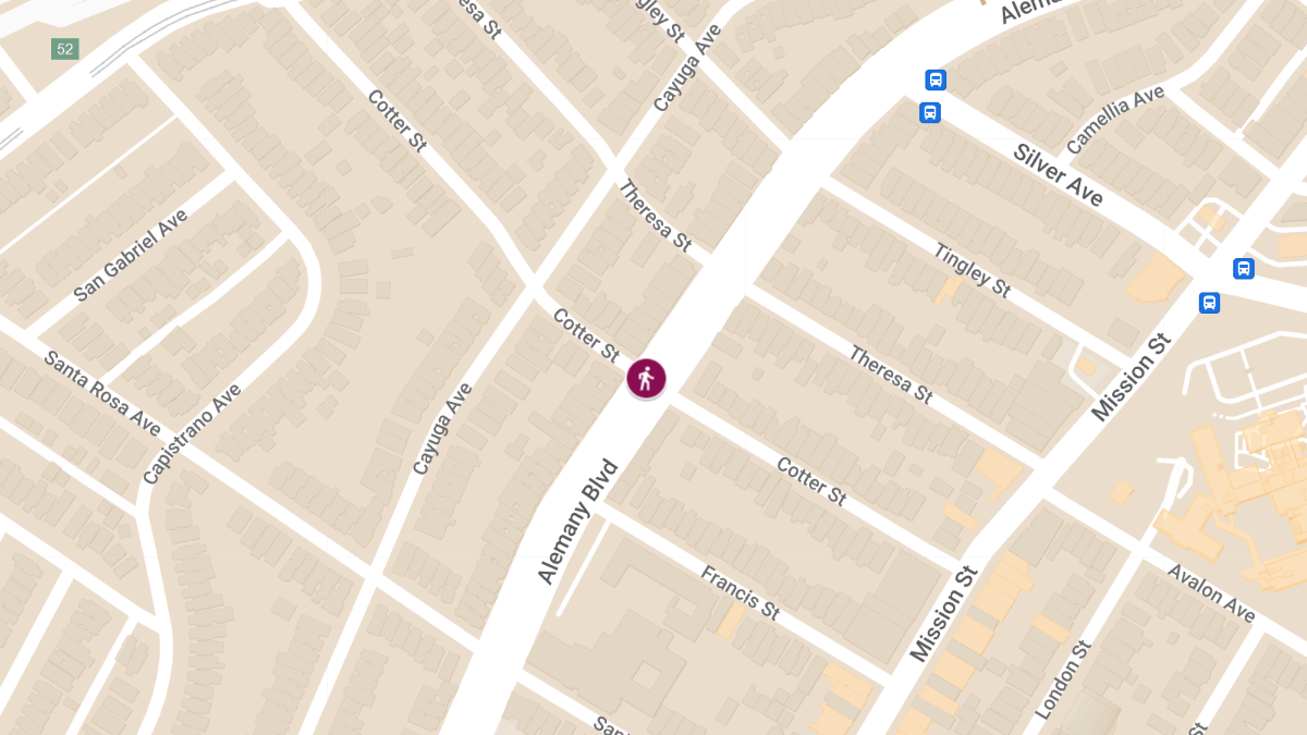 Hit-and-Run Crash With Injuries at Alemany Blvd & Cotter St